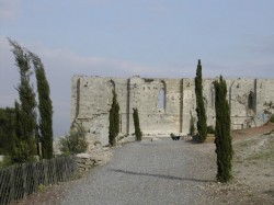 L'abbaye vue des jardins